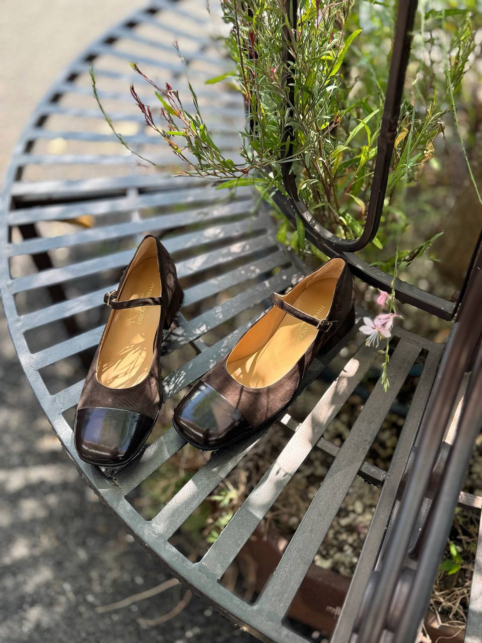 Фото Federica Lancioni