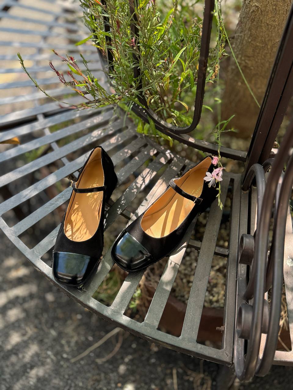 Фото Federica Lancioni