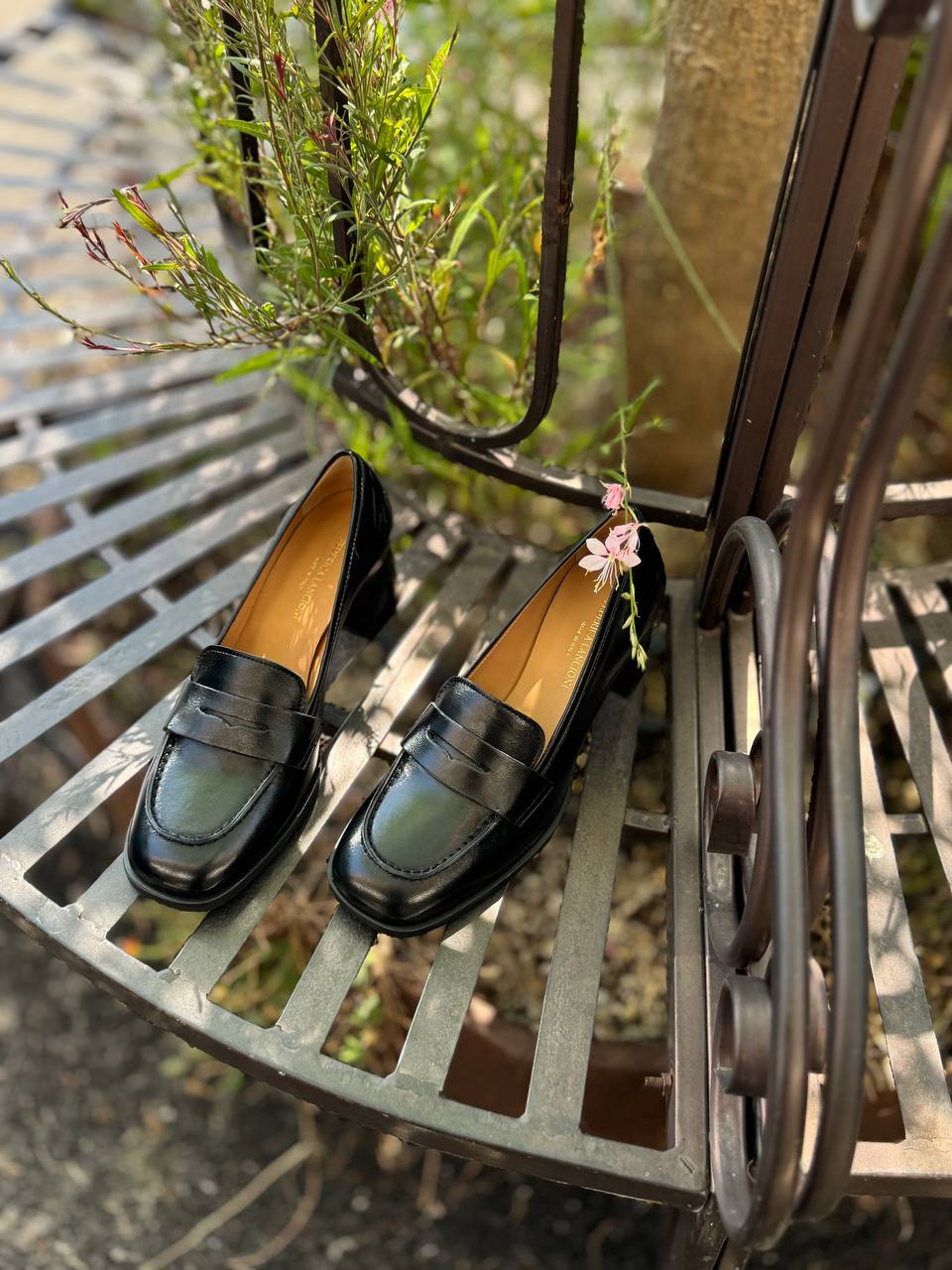 Фото Federica Lancioni