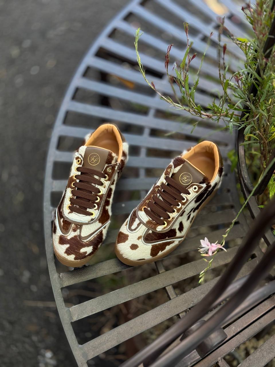 Фото Federica Lancioni