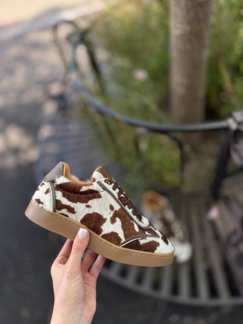 Фото Federica Lancioni