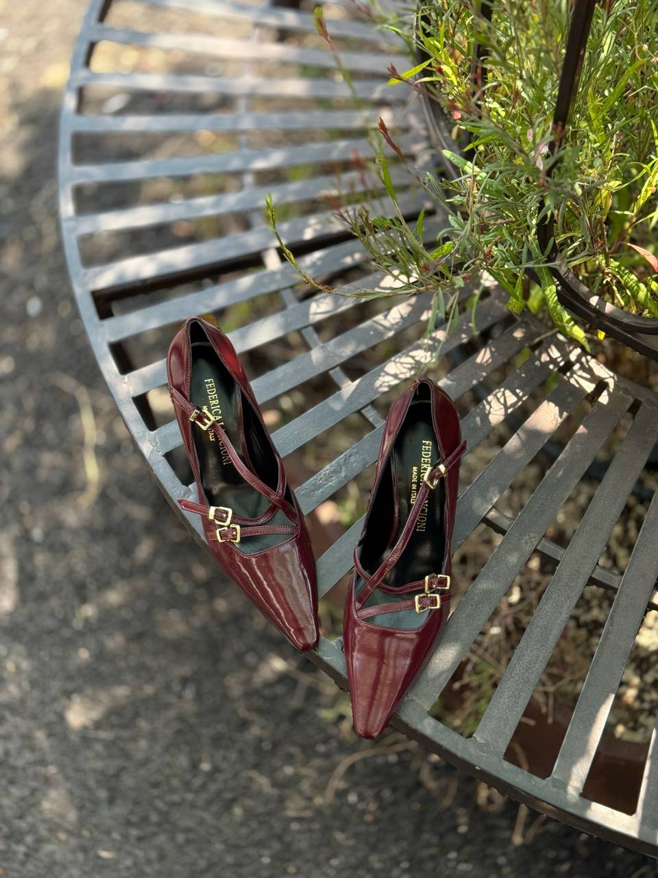 Фото Federica Lancioni