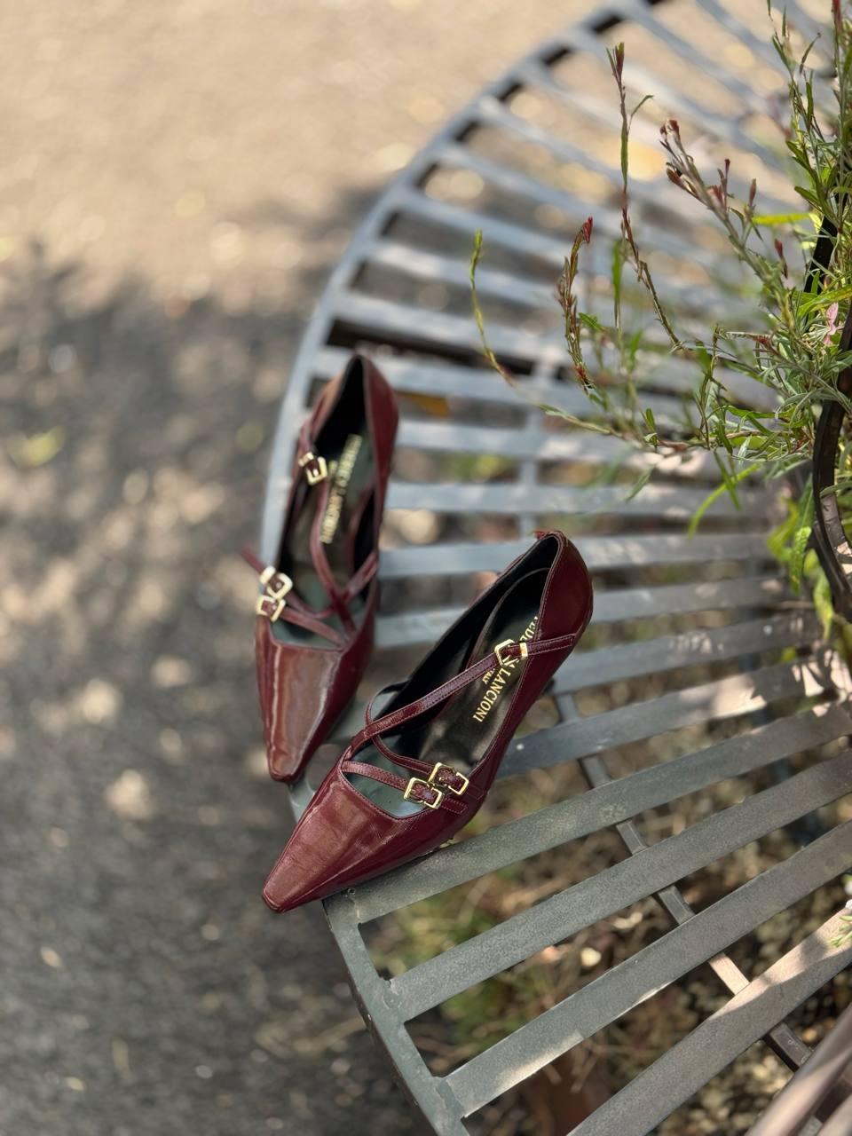 Фото Federica Lancioni