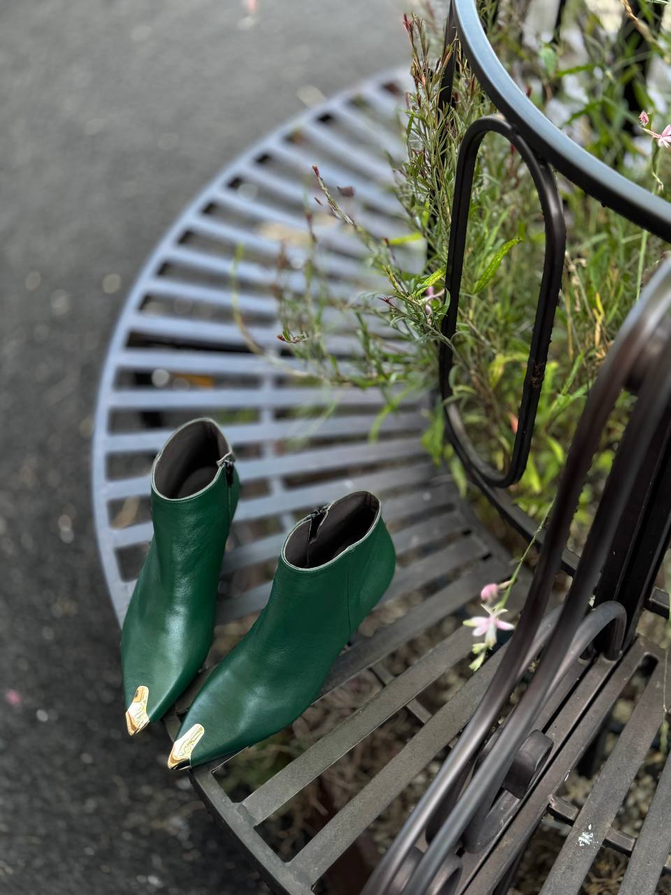 Фото Federica Lancioni