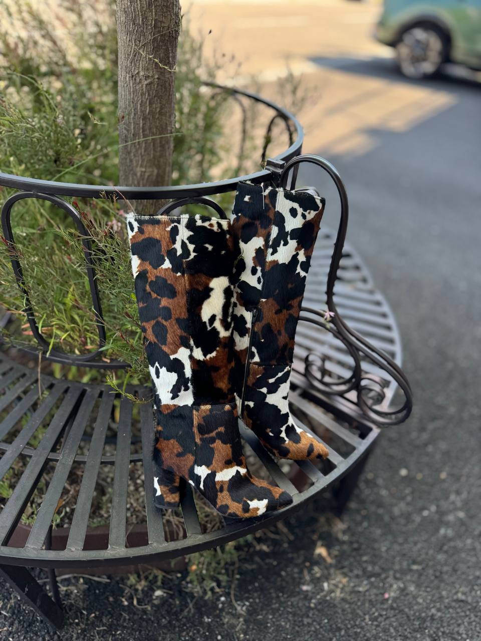 Фото Federica Lancioni