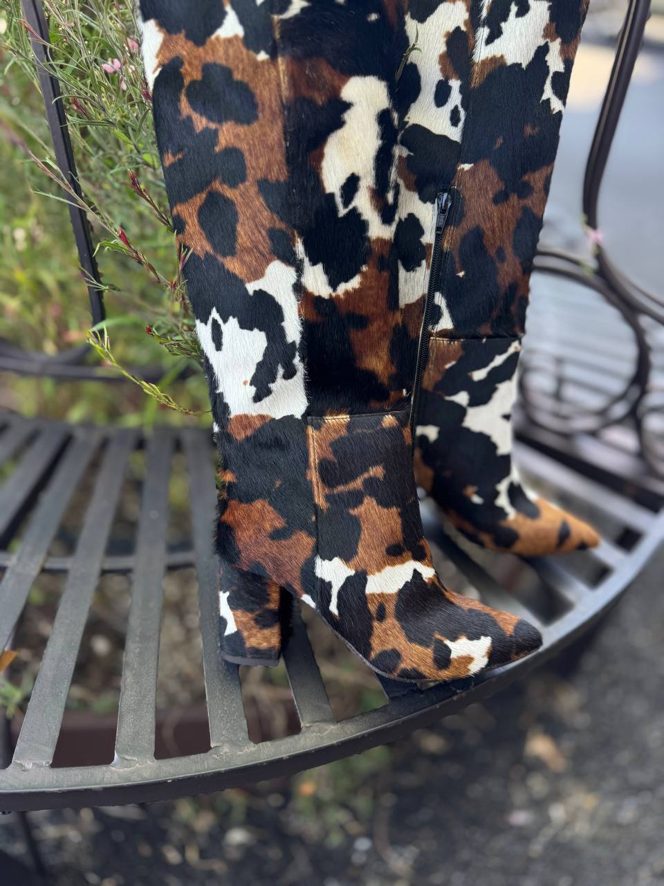 Фото Federica Lancioni