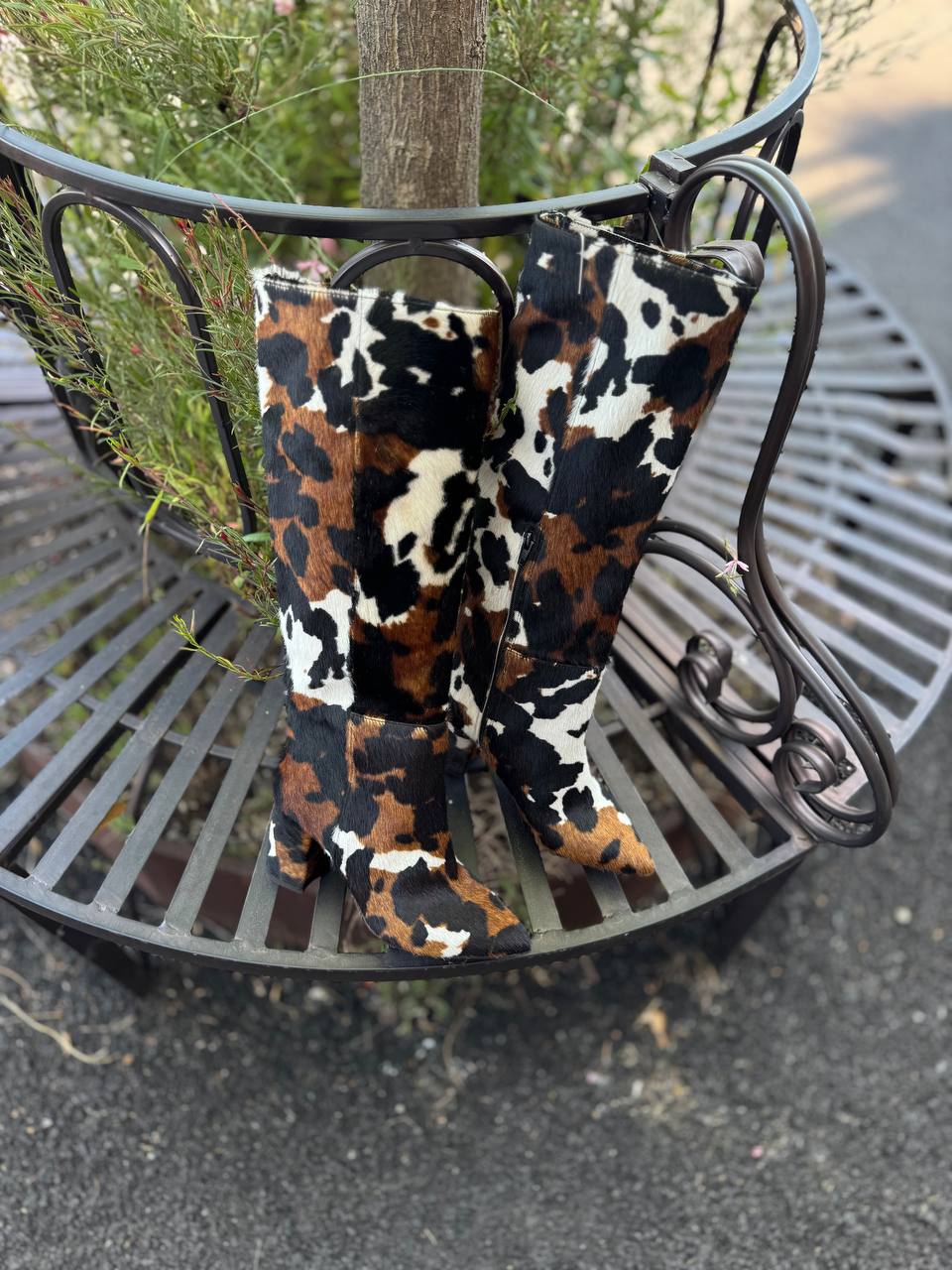 Фото Federica Lancioni