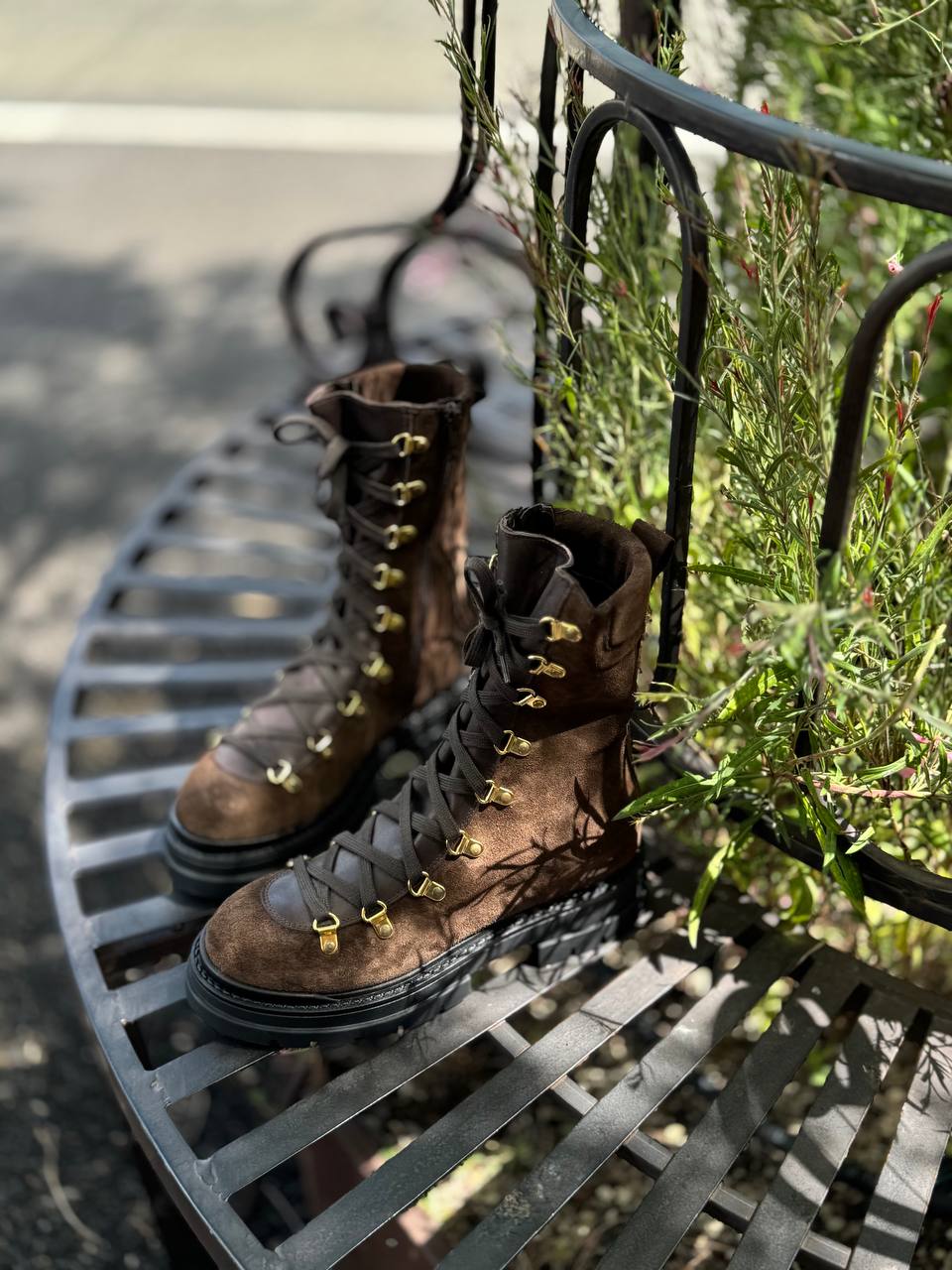 Фото Federica Lancioni