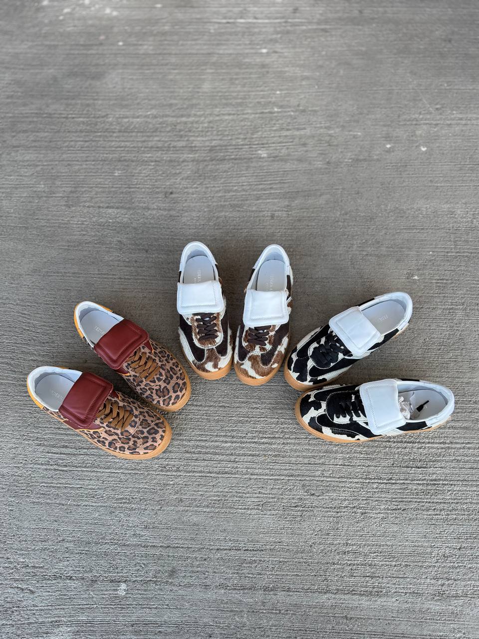 Фото Federica Lancioni