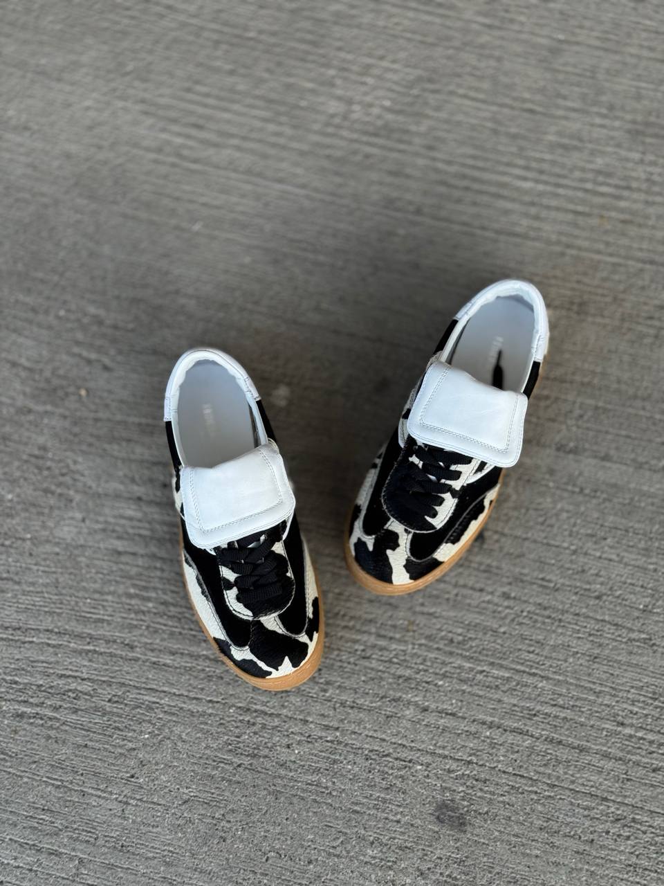 Фото Federica Lancioni