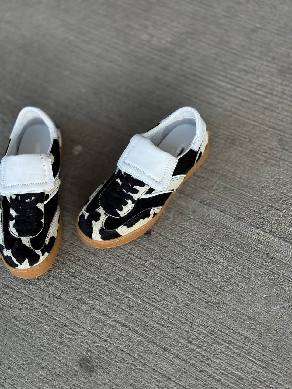 Фото Federica Lancioni