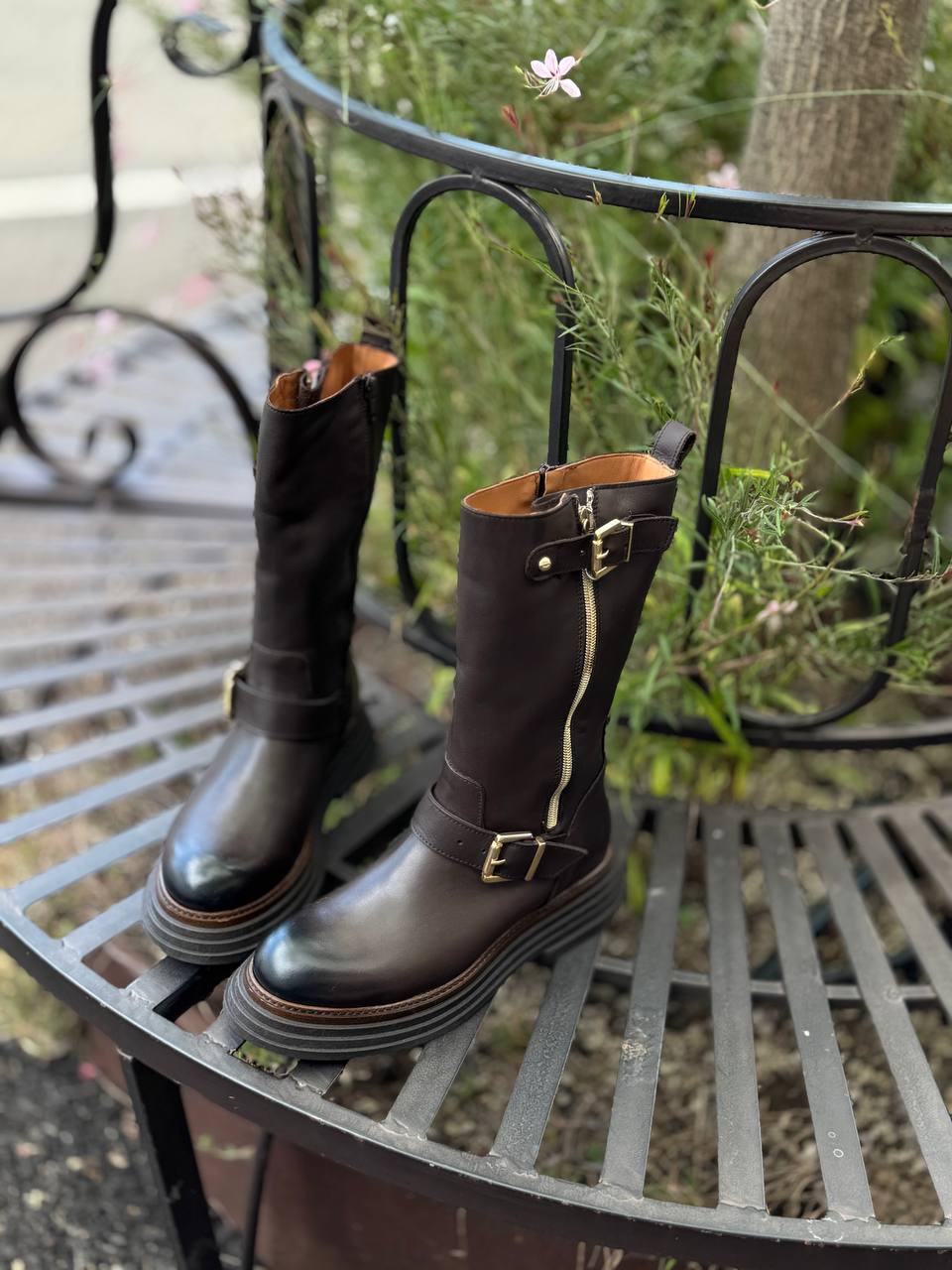 Фото Federica Lancioni