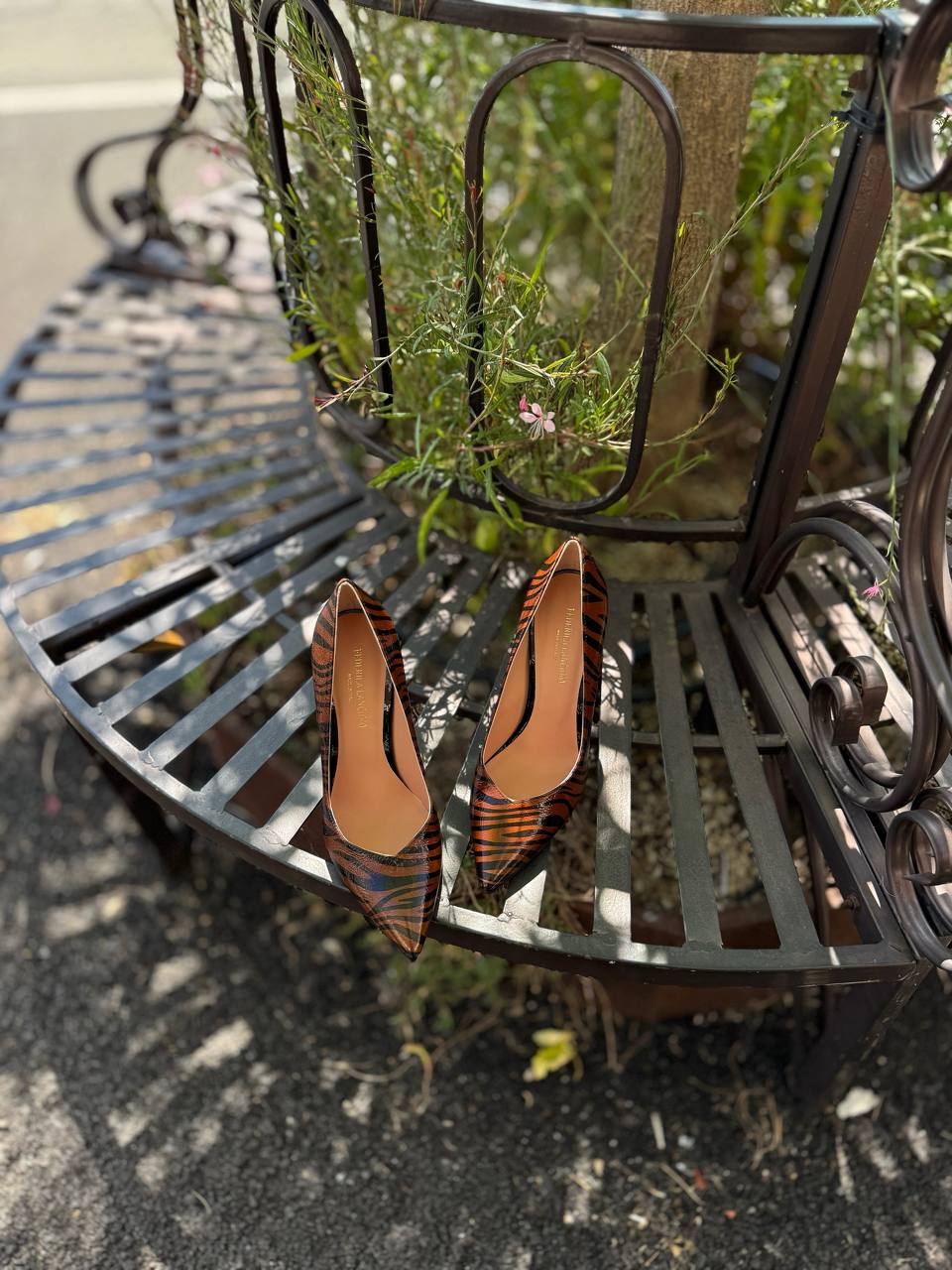 Фото Federica Lancioni