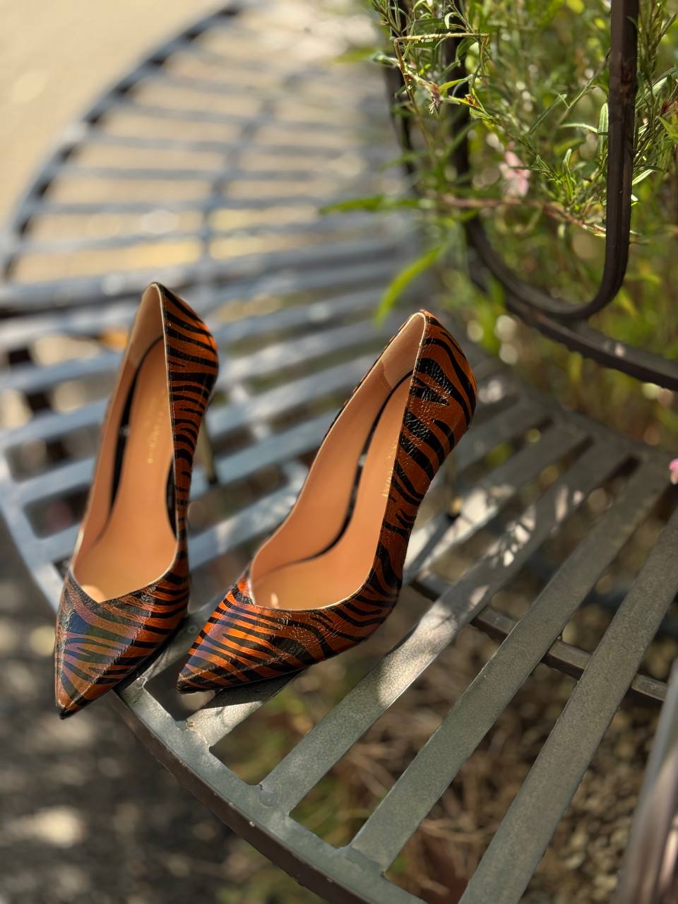 Фото Federica Lancioni