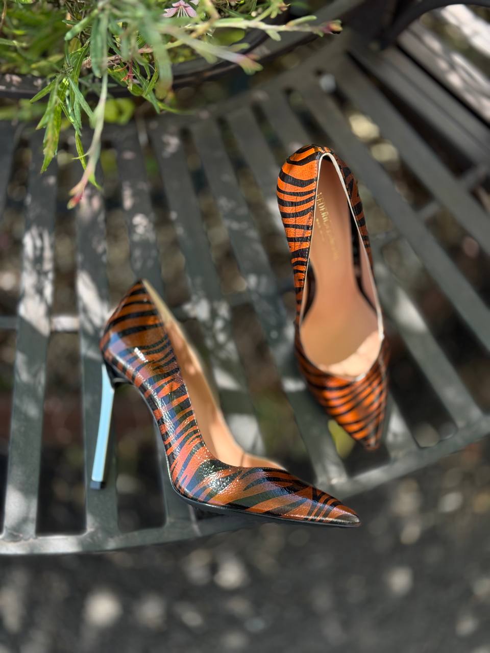 Фото Federica Lancioni