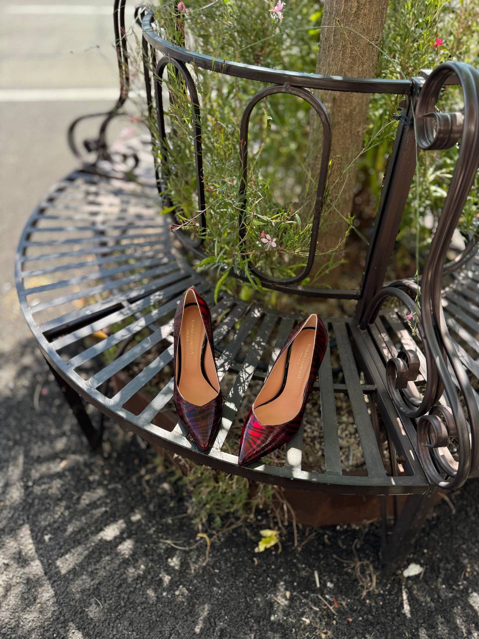 Фото Federica Lancioni