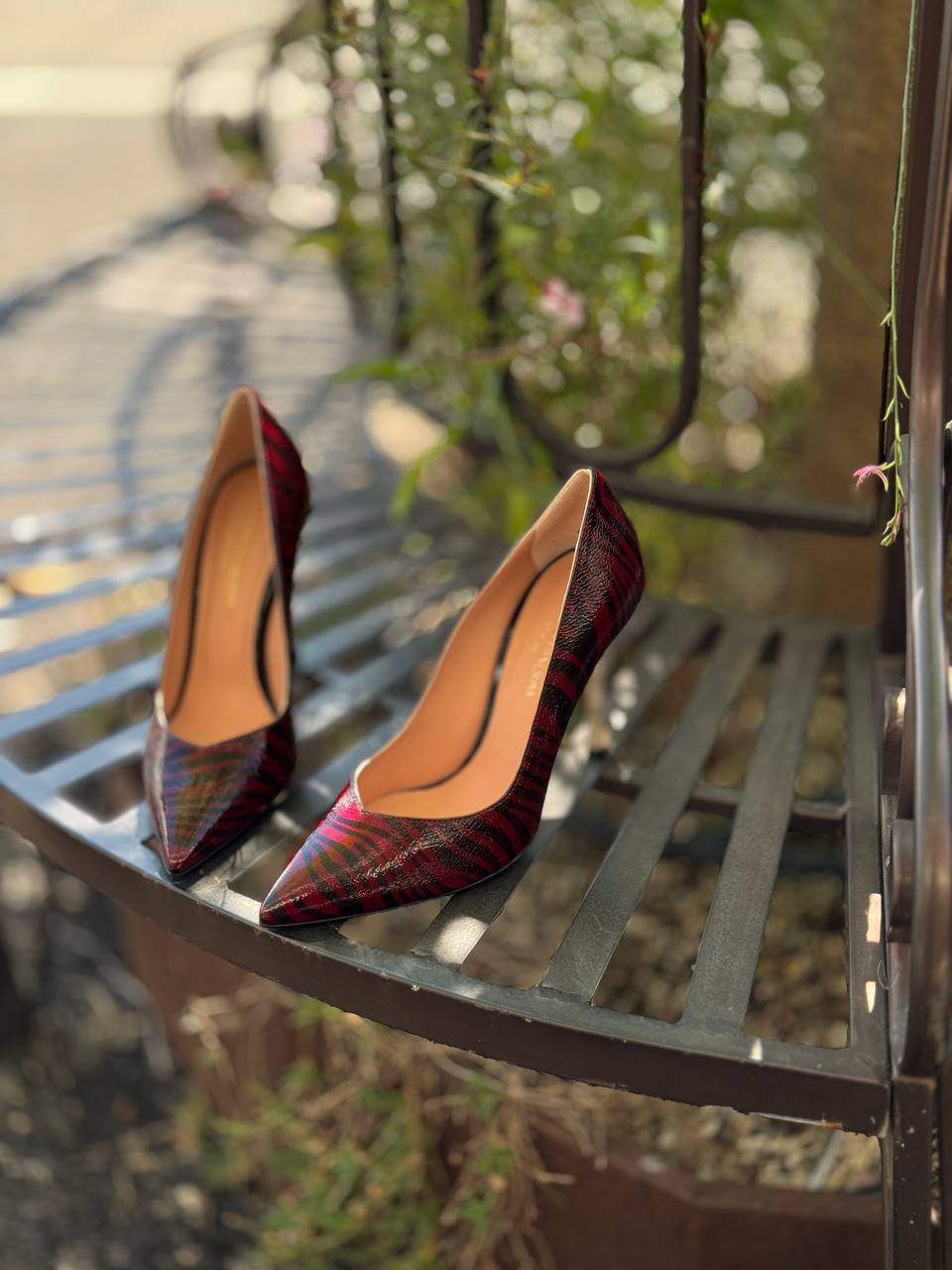 Фото Federica Lancioni