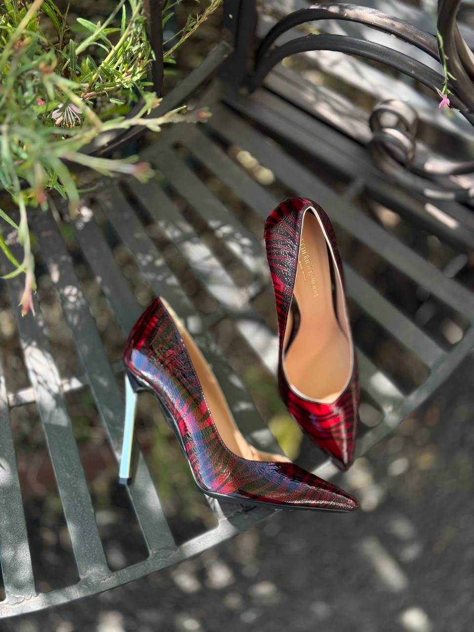 Фото Federica Lancioni