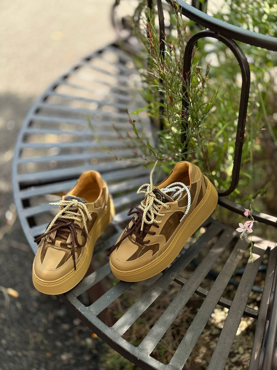 Фото Federica Lancioni