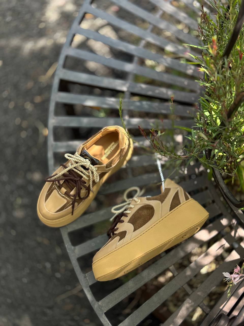 Фото Federica Lancioni