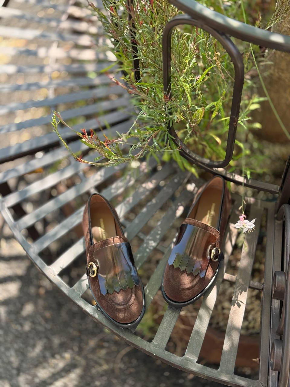 Фото Federica Lancioni