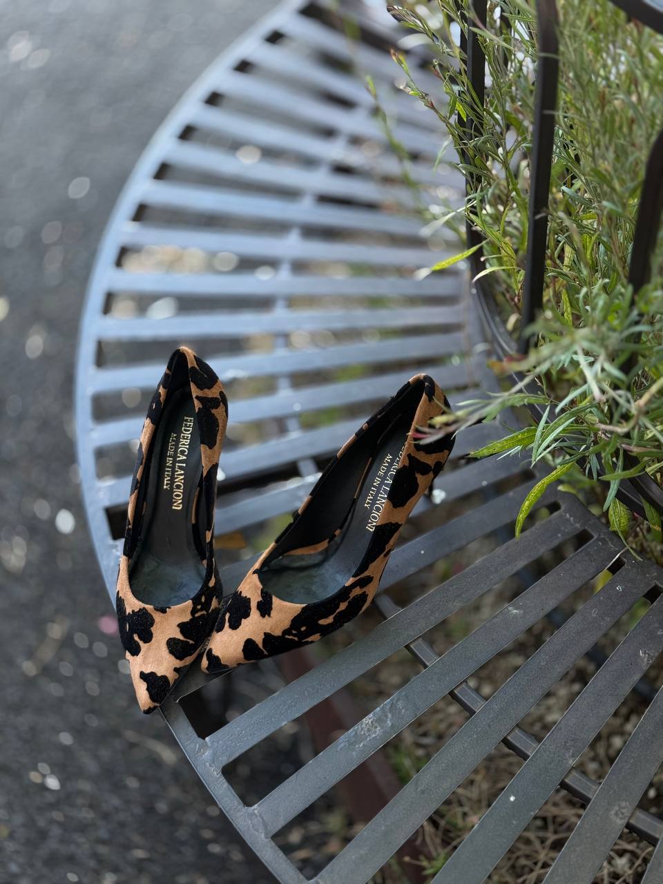 Фото Federica Lancioni