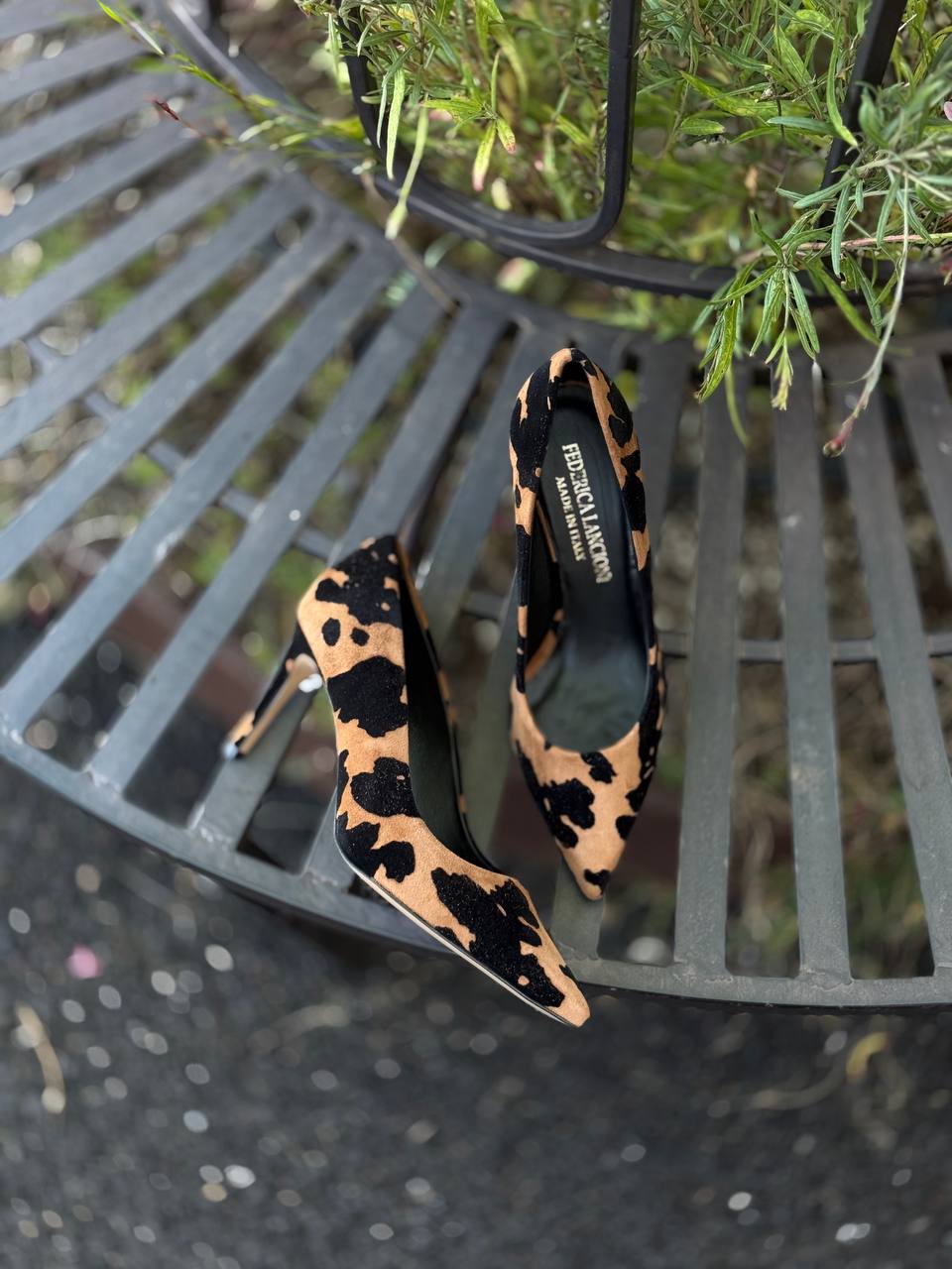 Фото Federica Lancioni