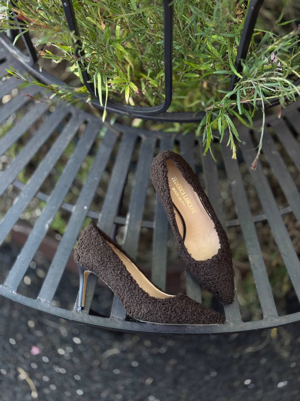 Фото Federica Lancioni