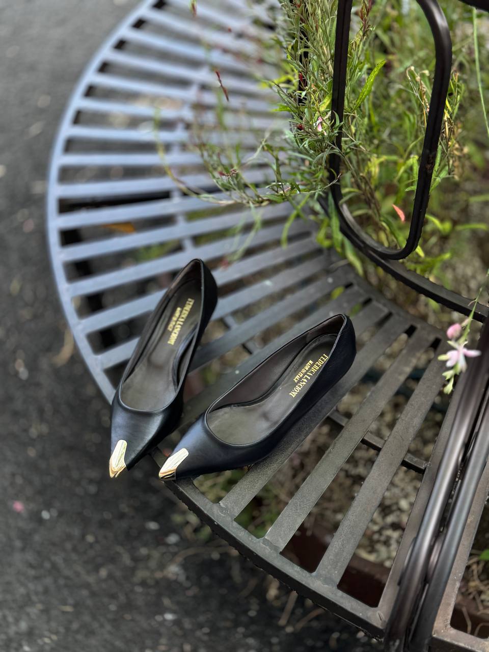 Фото Federica Lancioni