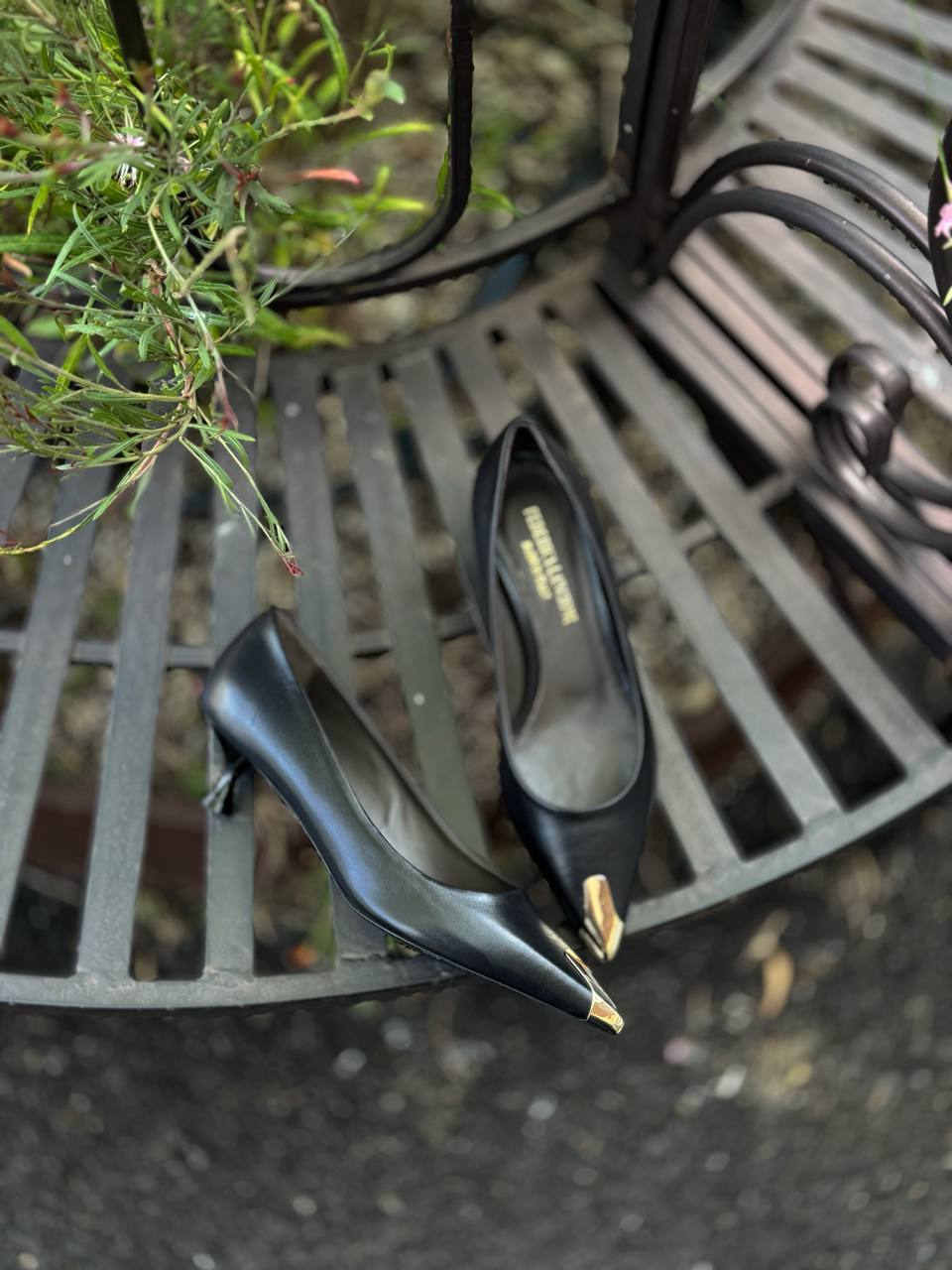 Фото Federica Lancioni