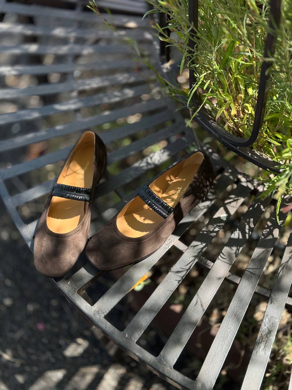 Фото Federica Lancioni