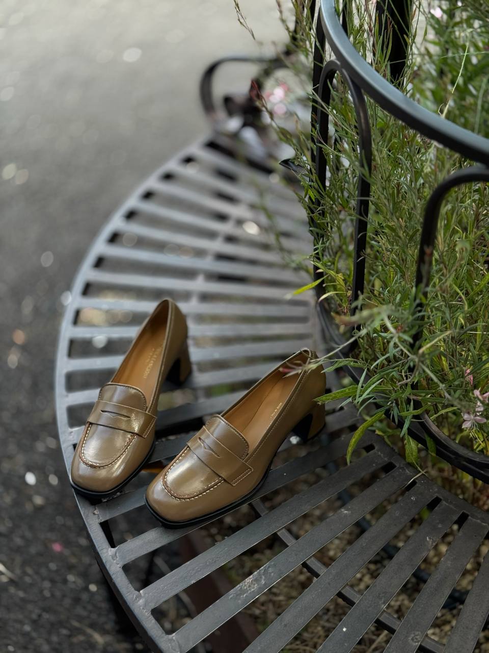 Фото Federica Lancioni