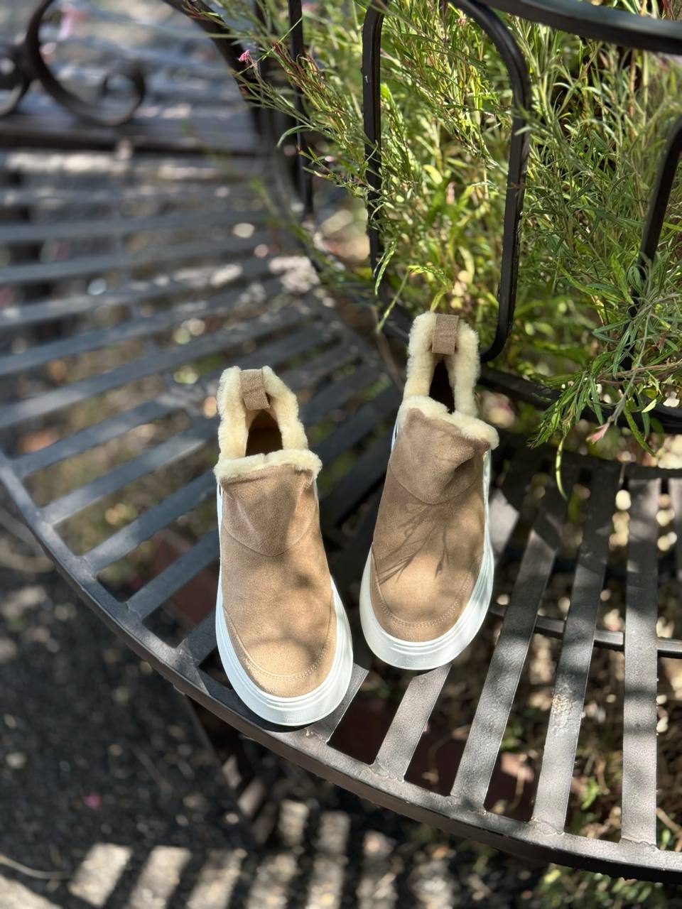 Фото Federica Lancioni