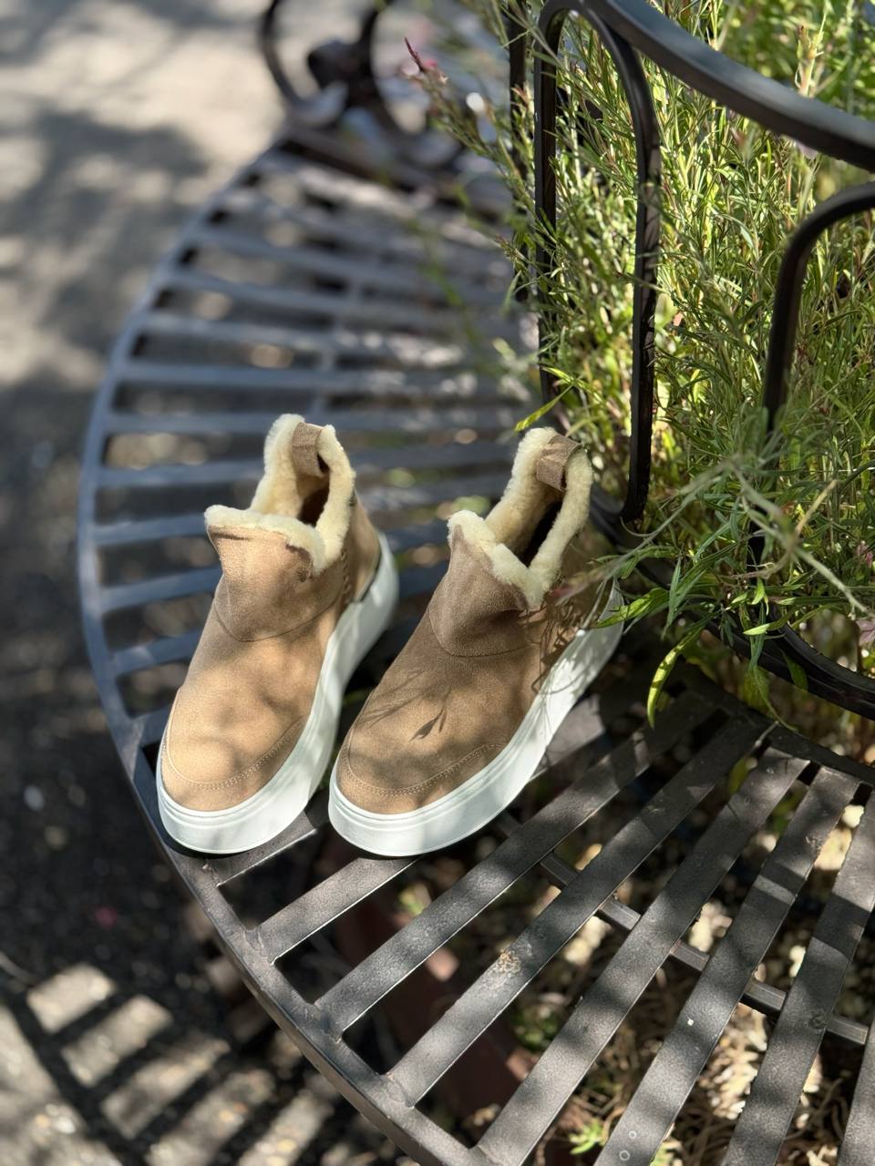 Фото Federica Lancioni