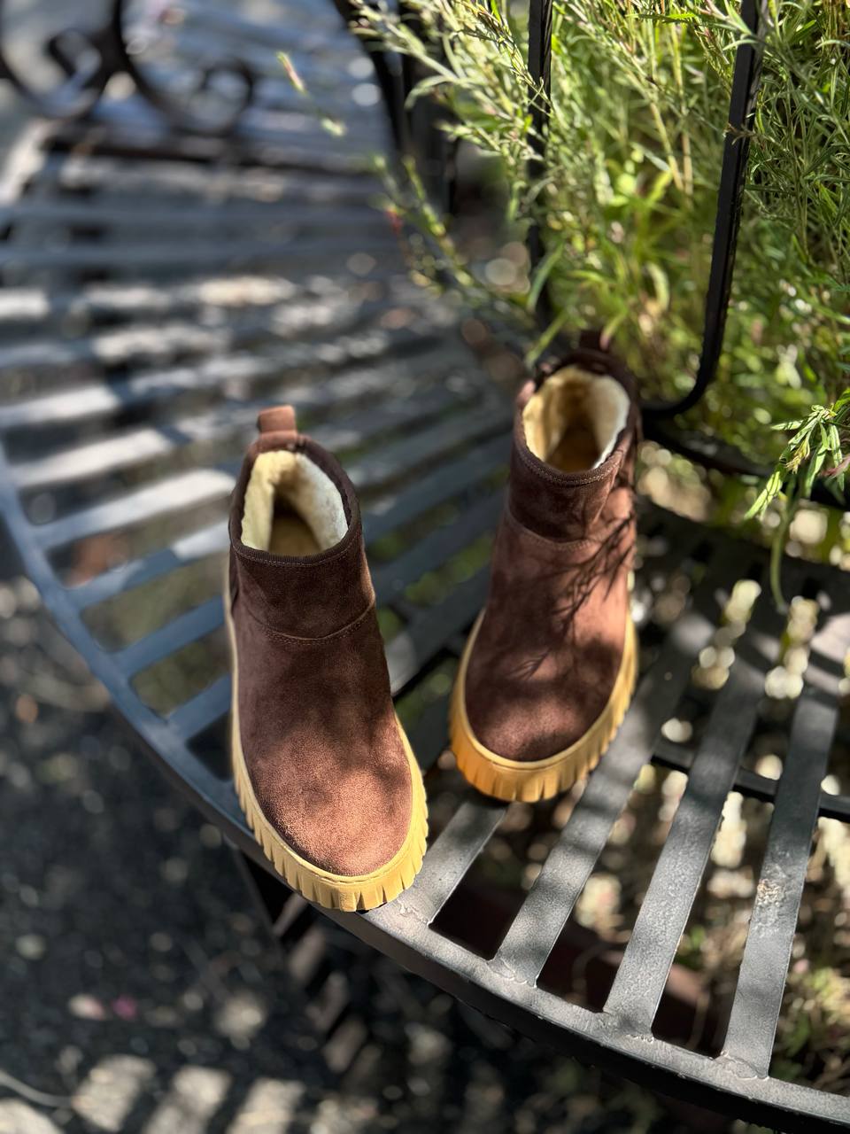 Фото Federica Lancioni