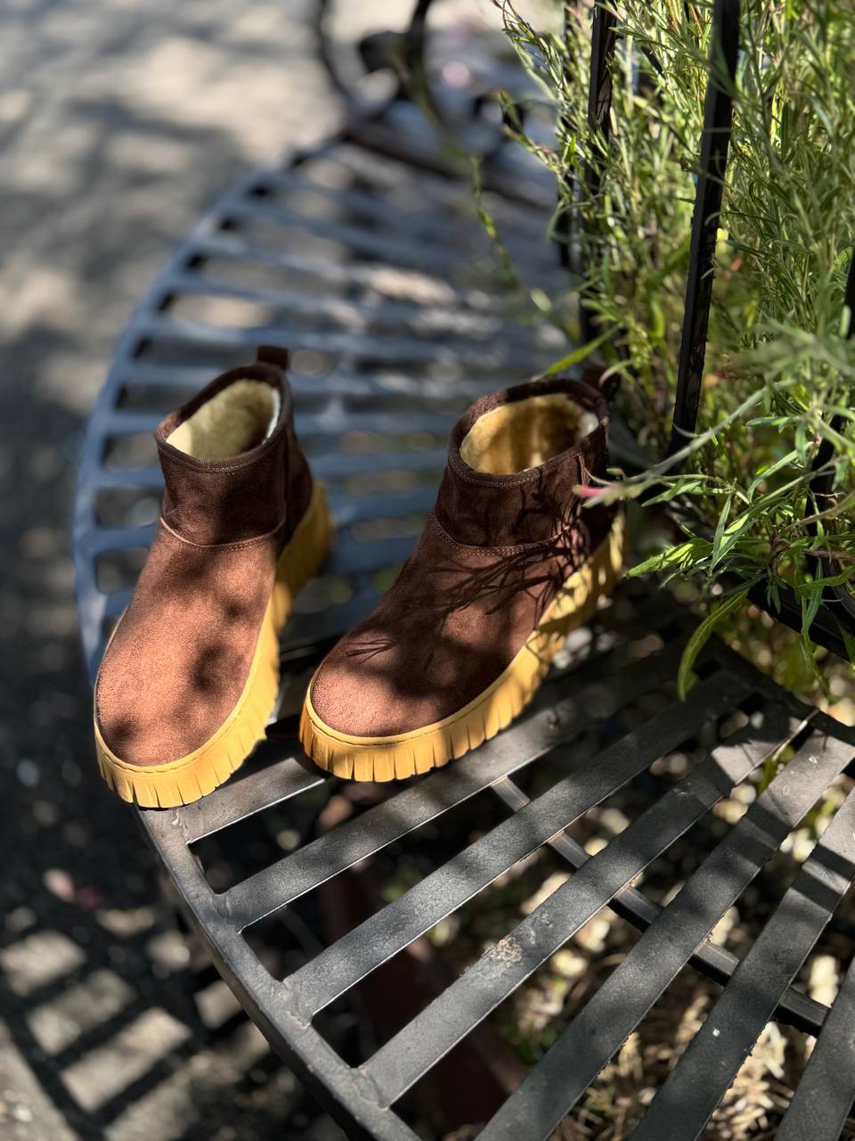 Фото Federica Lancioni