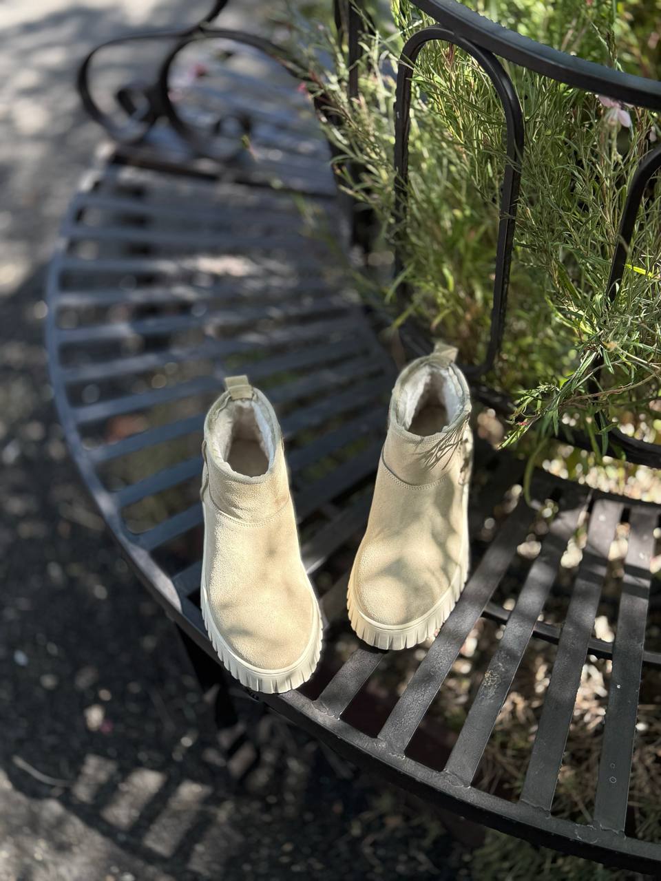 Фото Federica Lancioni