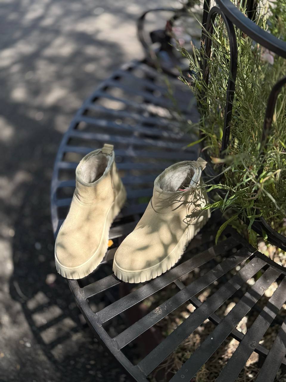 Фото Federica Lancioni