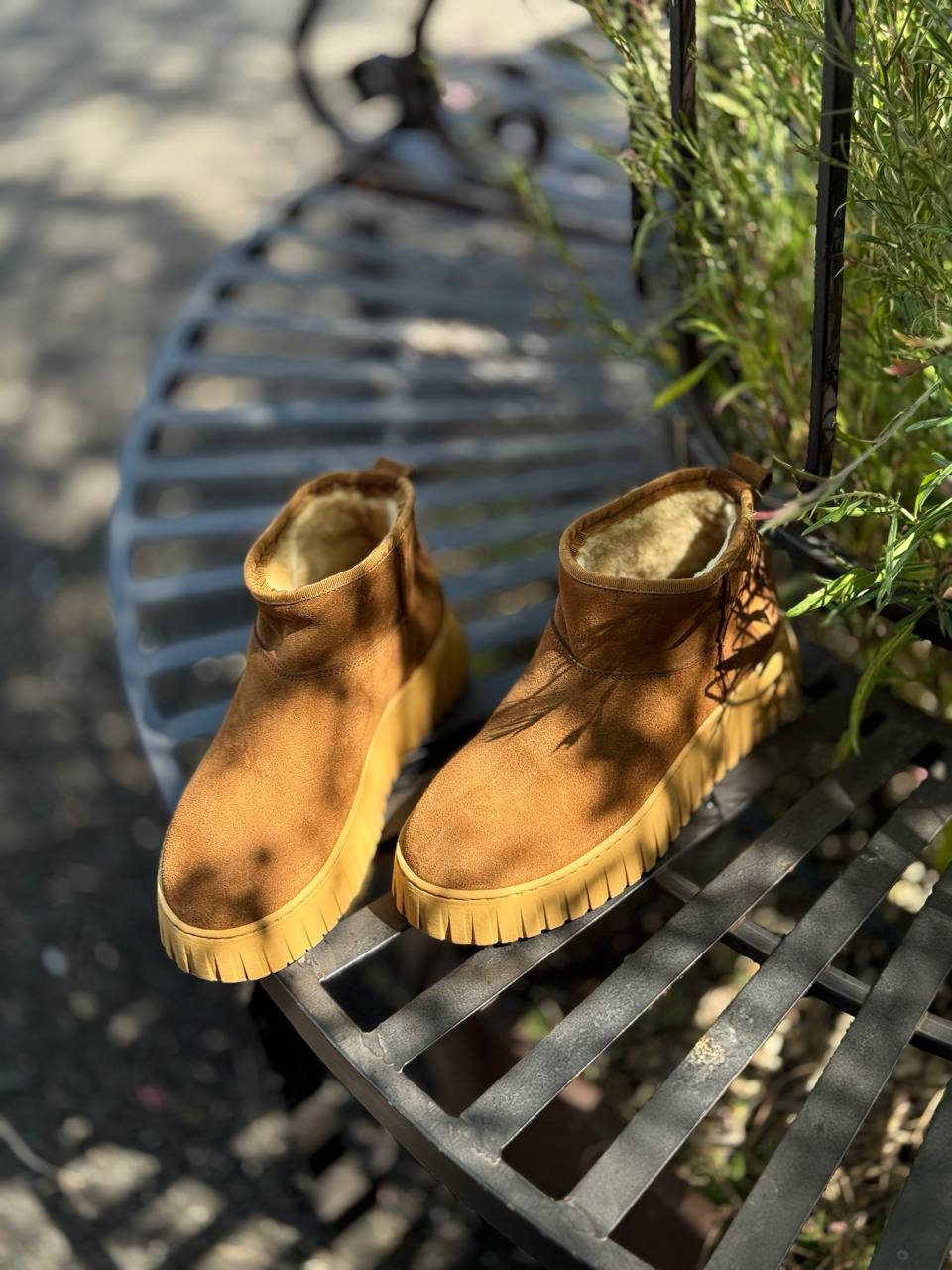 Фото Federica Lancioni