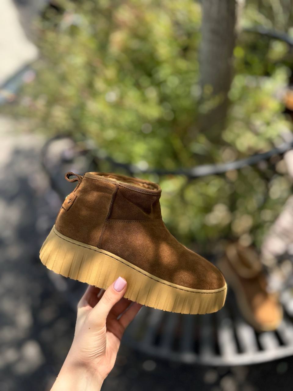 Фото Federica Lancioni