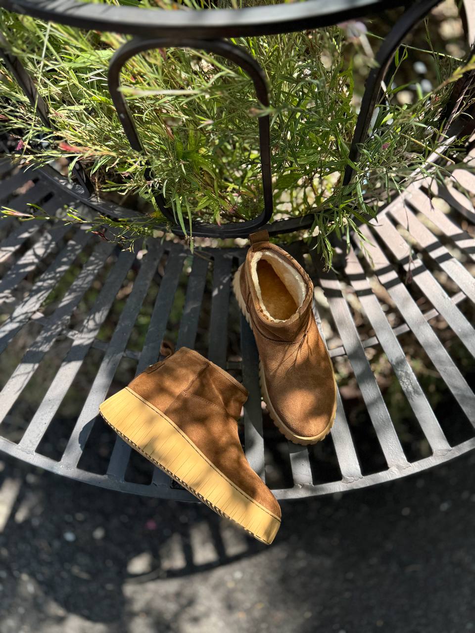 Фото Federica Lancioni