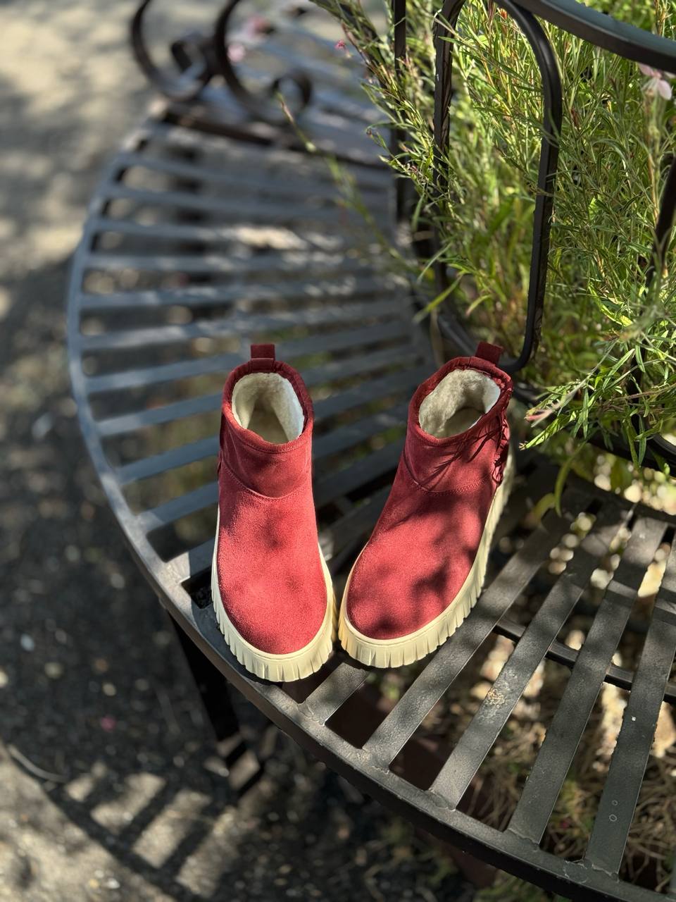 Фото Federica Lancioni