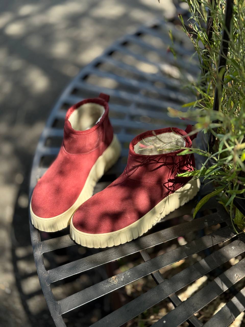 Фото Federica Lancioni