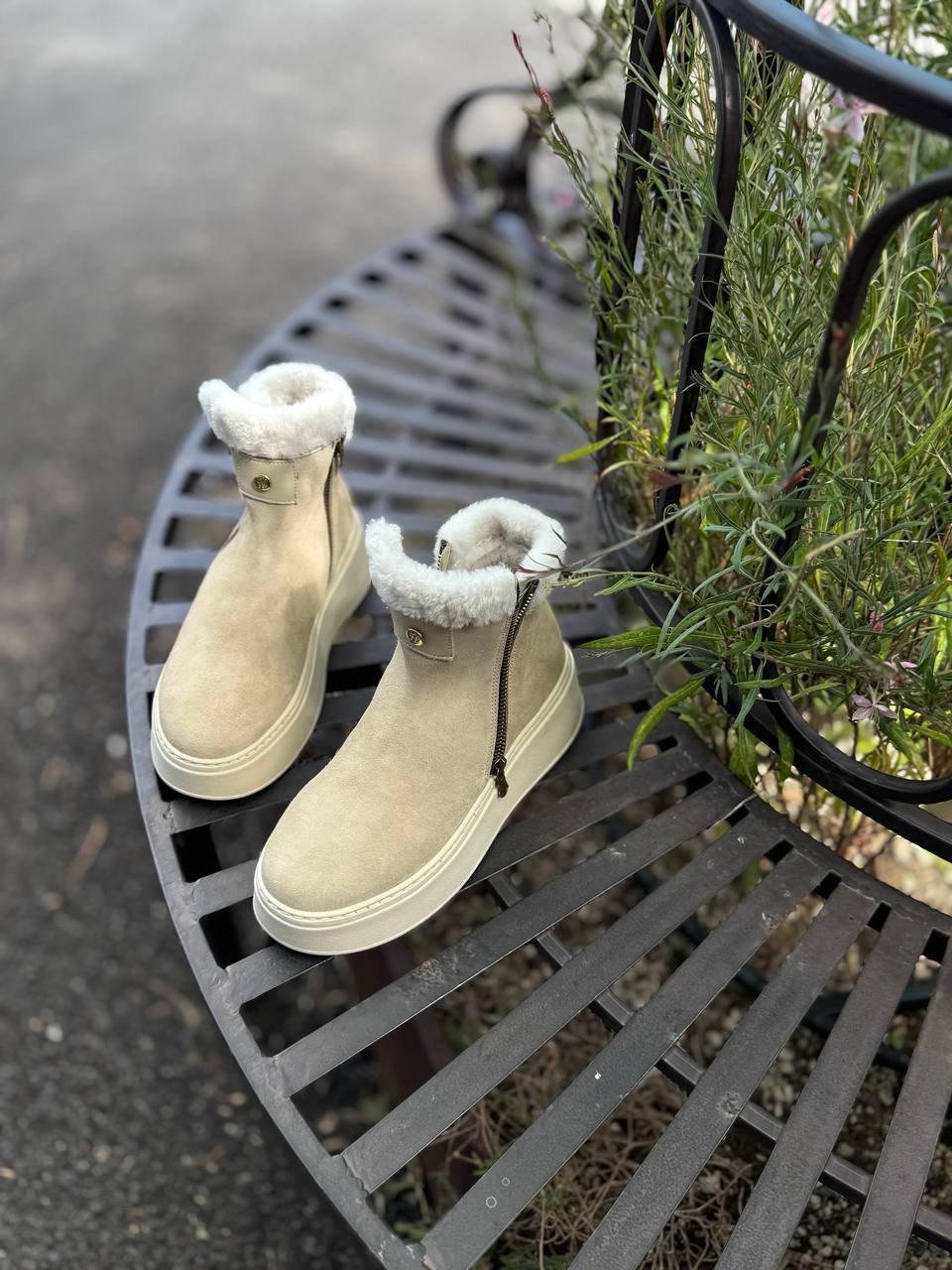 Фото Federica Lancioni