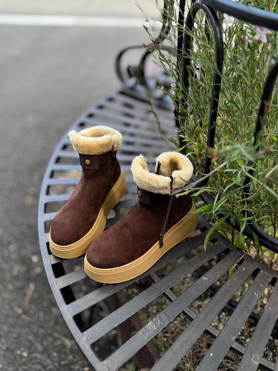 Фото Federica Lancioni