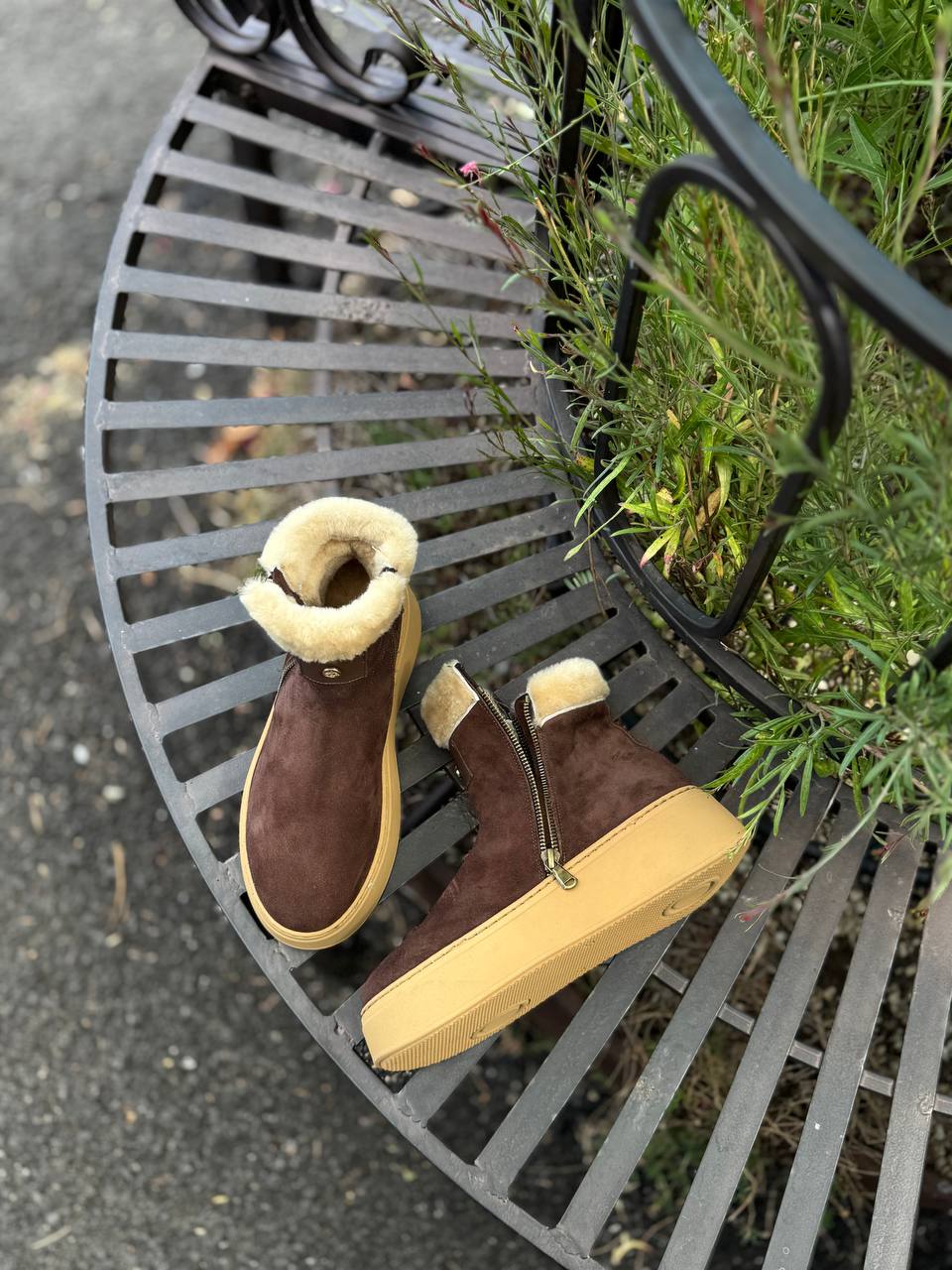 Фото Federica Lancioni