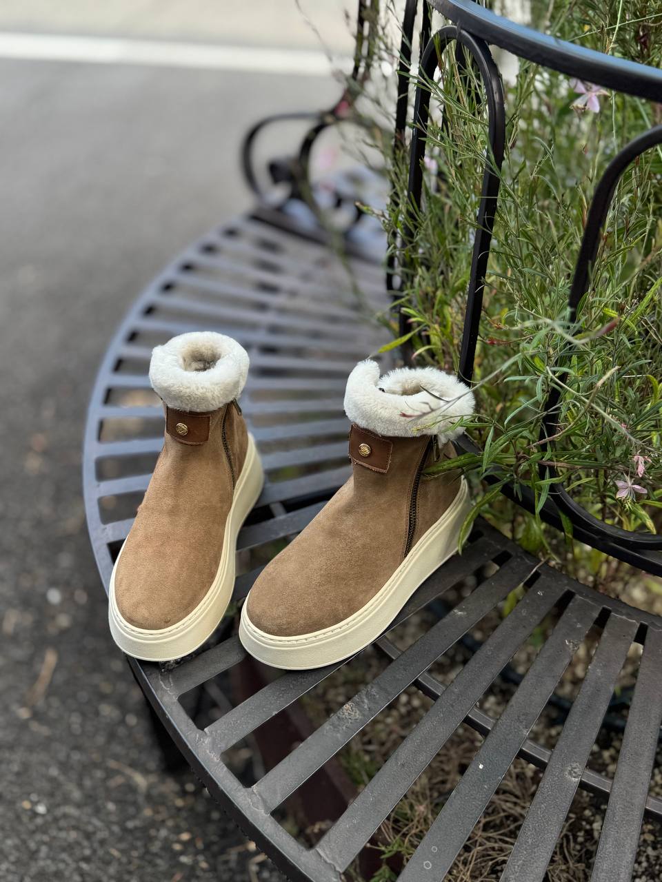 Фото Federica Lancioni