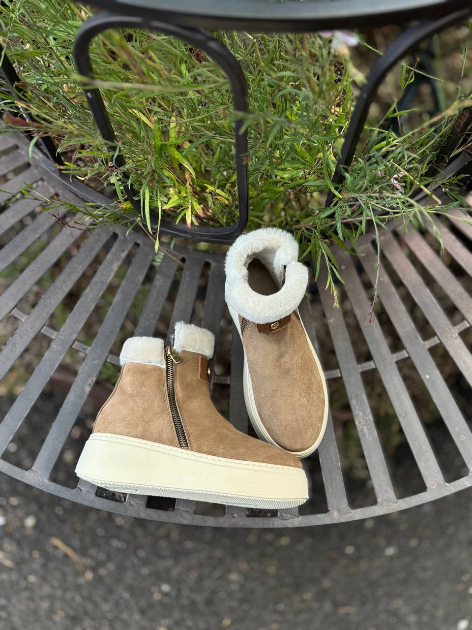 Фото Federica Lancioni