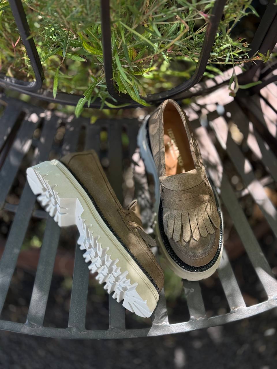 Фото Federica Lancioni