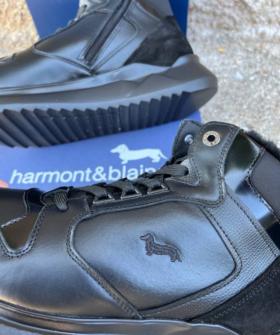 Roberto Serpentini Фото Roberto Serpentini